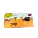 Samba de la sabana.jpg