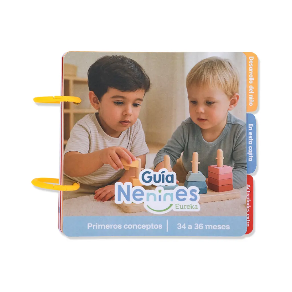 12_Primeros conceptos.webp